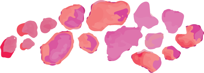 Biotoop4